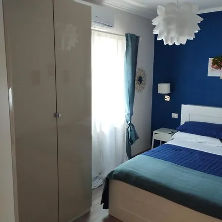 Sashome * Olbia
