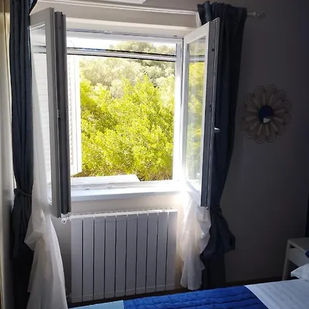 Apartment Sashome *