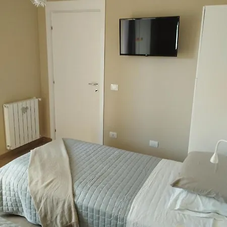Sashome * Olbia