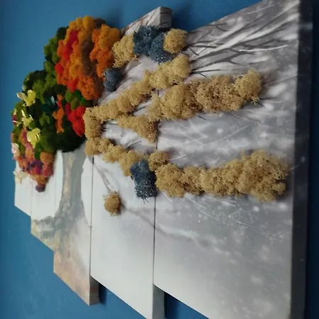 Sashome Apartment *